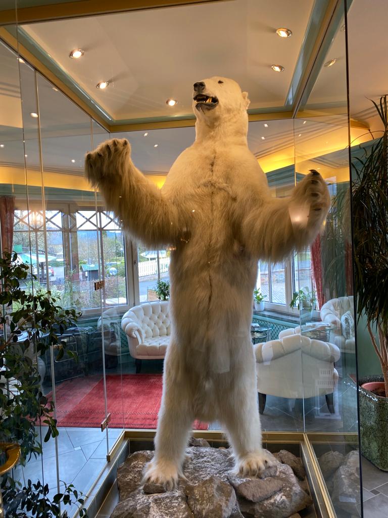 Weisser B&auml;r